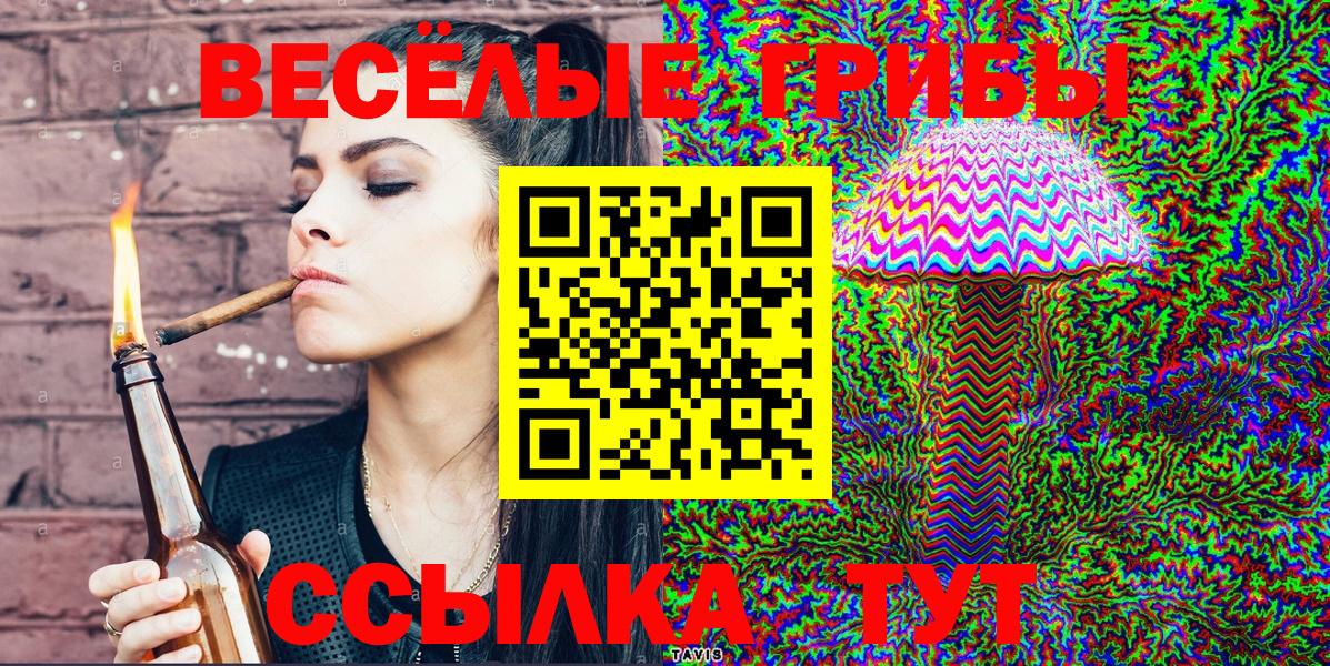 Жуковский  Галлюциногенные грибы Cubensis  Галлюциногенные грибы Cubensis  Вход с VPN 