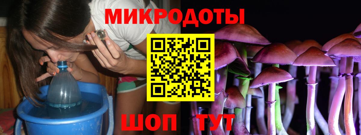 Галлюциногенные грибы Cubensis Жуковский