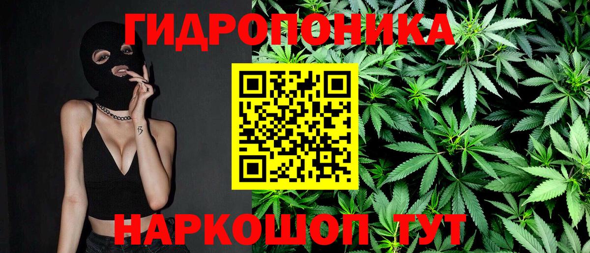 Бошки Шишки конопля Жуковский